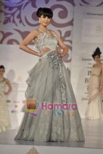 Model walks the ramp for Arjun Anjalee Kapoor for Aamby Valley India Bridal Week on 30th Oct 2010 (15).JPG